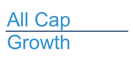 All Cap Growth Style