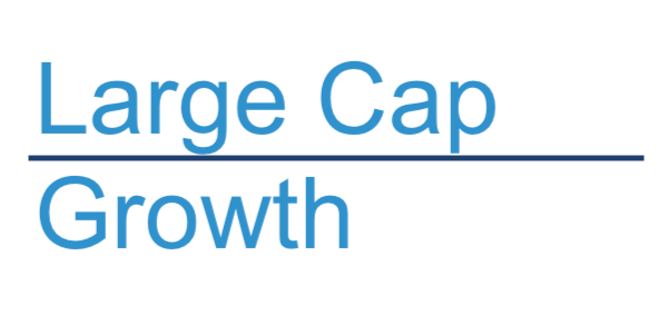Large Cap Growth Style