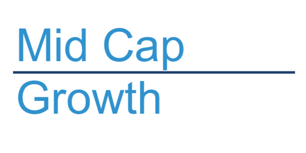 Mid Cap Growth Style