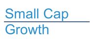Small Cap Growth Style